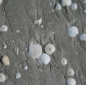 カテゴリーSilverJewelry